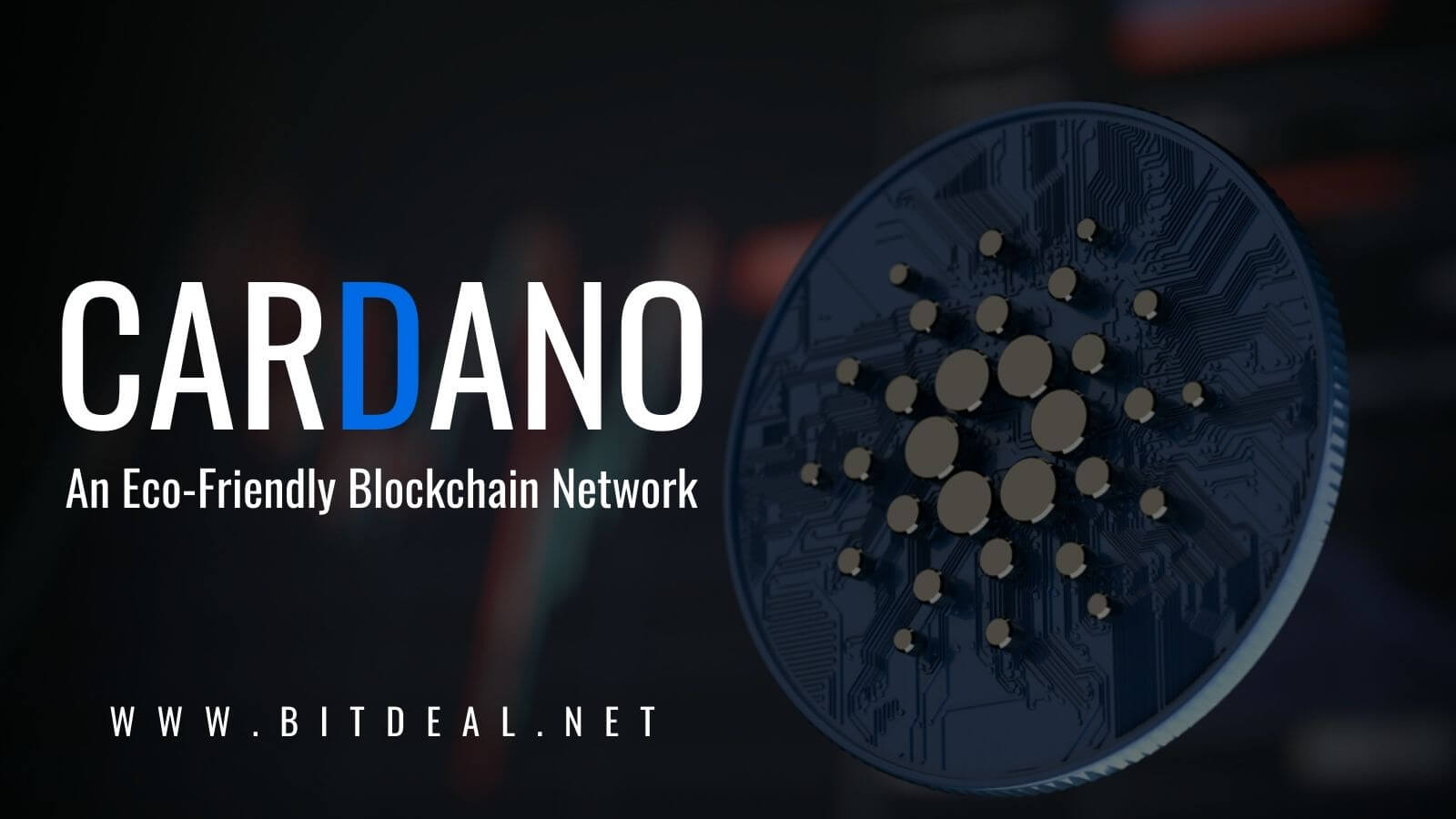 A Beginners Guide To Cardano Blockchain