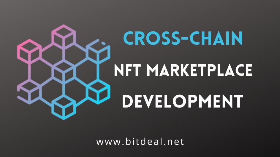 Cross-Chain NFT Marketplace Development Company