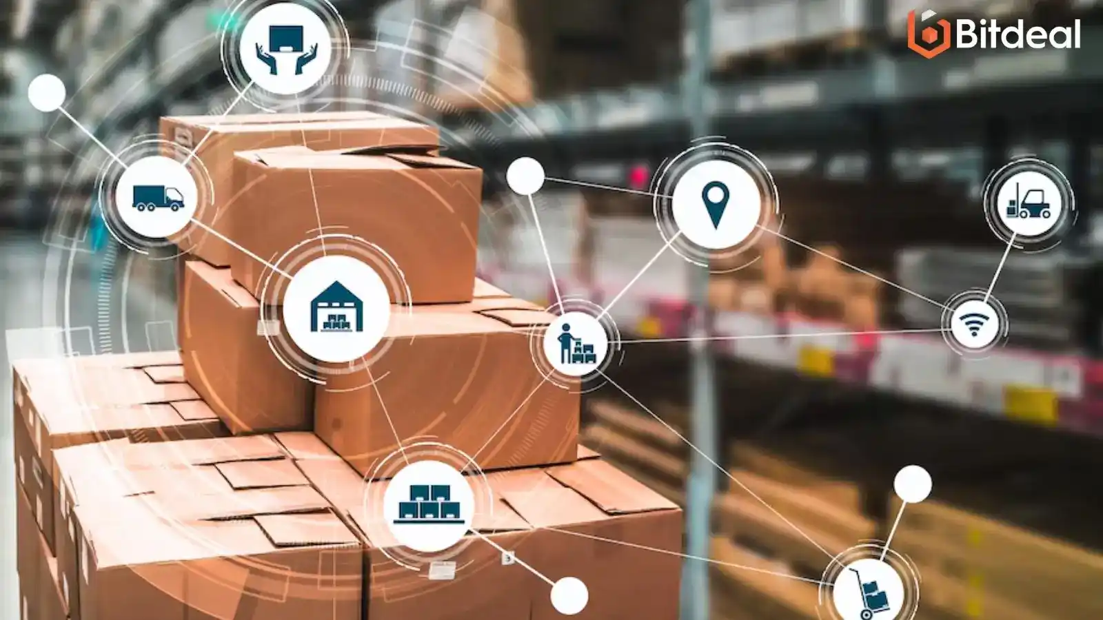 Beyond Boundaries: Exploring the Impact of Digital Transformation on Supply Chain Management